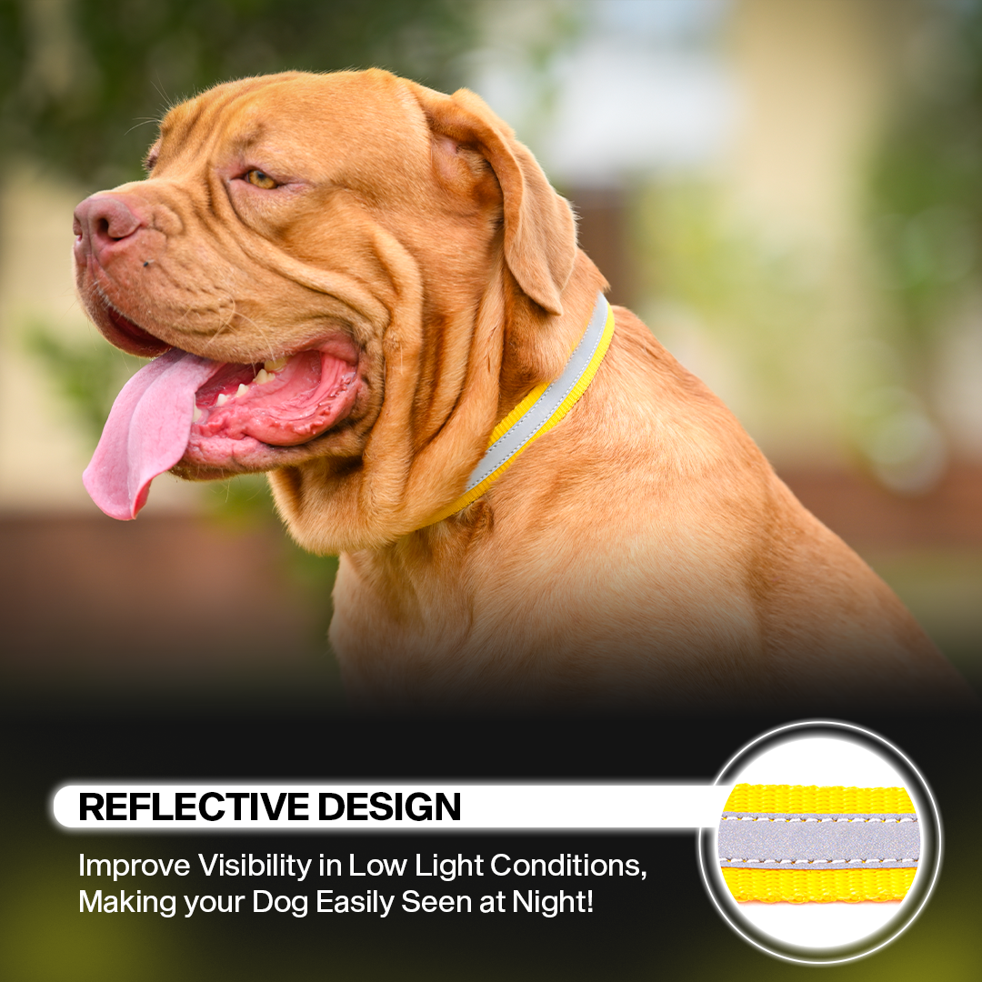 Adil's Reflective Nylon Dog Collar Adjustable Collar with Metal Buckle