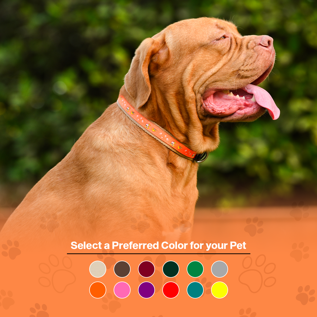 Nylon Dog Collar with Paw Print, Adjustable Metal Buckle