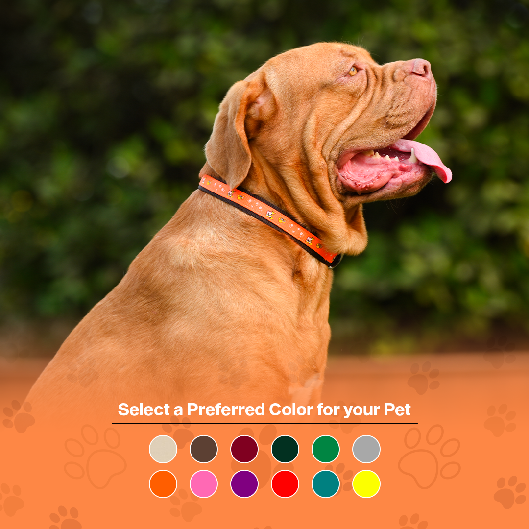 Nylon Dog Collar with Paw Print, Adjustable Metal Buckle