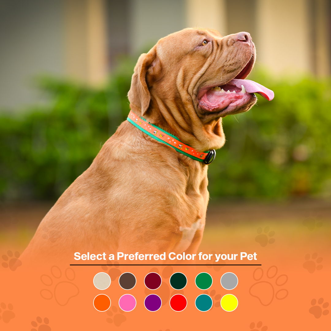 Nylon Dog Collar with Paw Print, Adjustable Metal Buckle