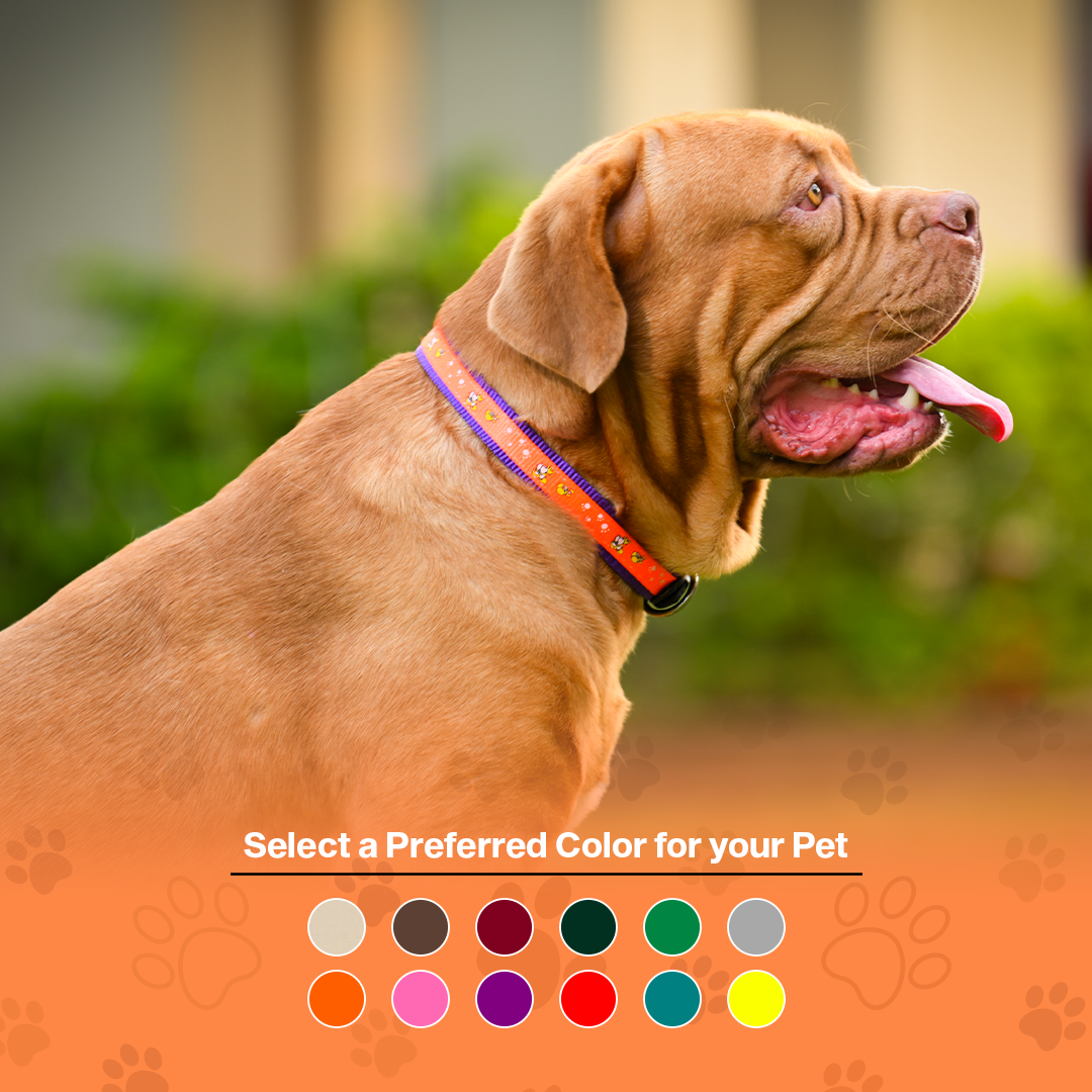 Nylon Dog Collar with Paw Print, Adjustable Metal Buckle