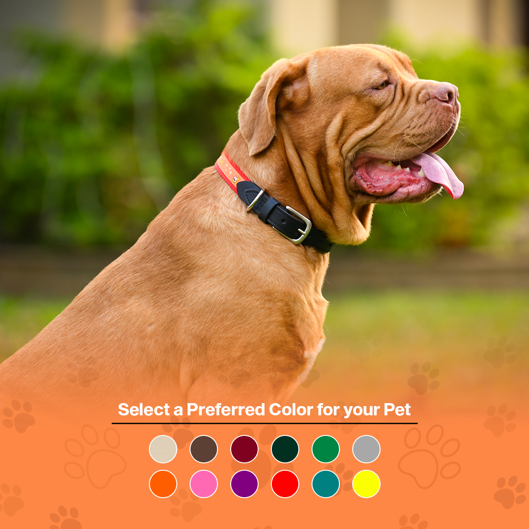 Nylon Dog Collar with Paw Print, Adjustable Metal Buckle