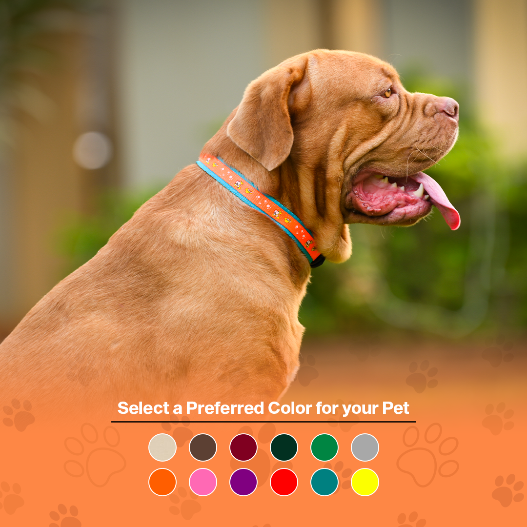 Nylon Dog Collar with Paw Print, Adjustable Metal Buckle