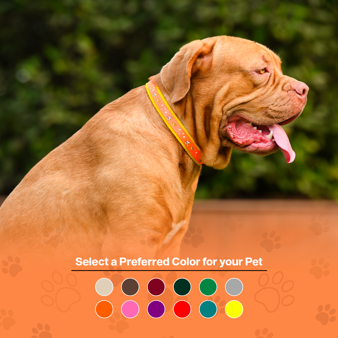 Nylon Dog Collar with Paw Print, Adjustable Metal Buckle