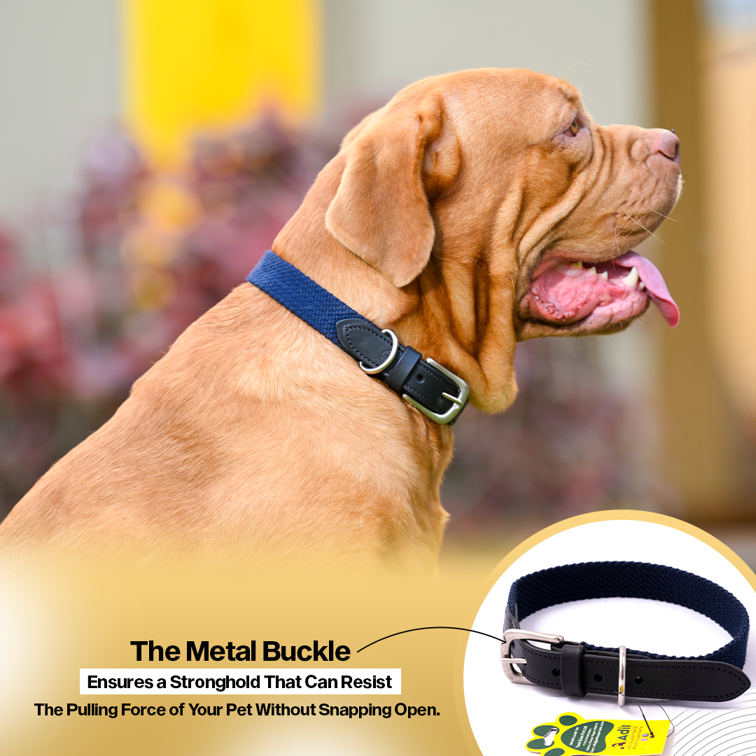 Adil's Plain Cotton with Leather Dog Collar With Adjustable Collar