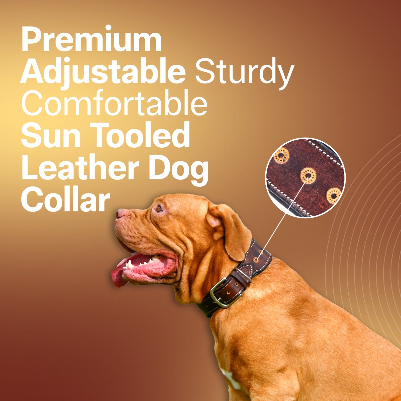 Handcrafted Leather Sun Tooled Dog Collar, Heavy Duty Dog Collar Dogs with Strong Metal Buckle & D-Ring