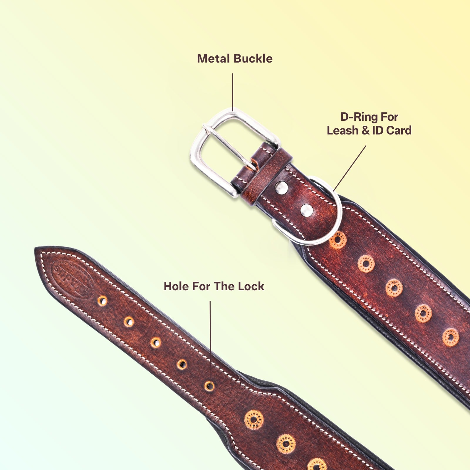 Handcrafted Leather Sun Tooled Dog Collar, Heavy Duty Dog Collar Dogs with Strong Metal Buckle & D-Ring