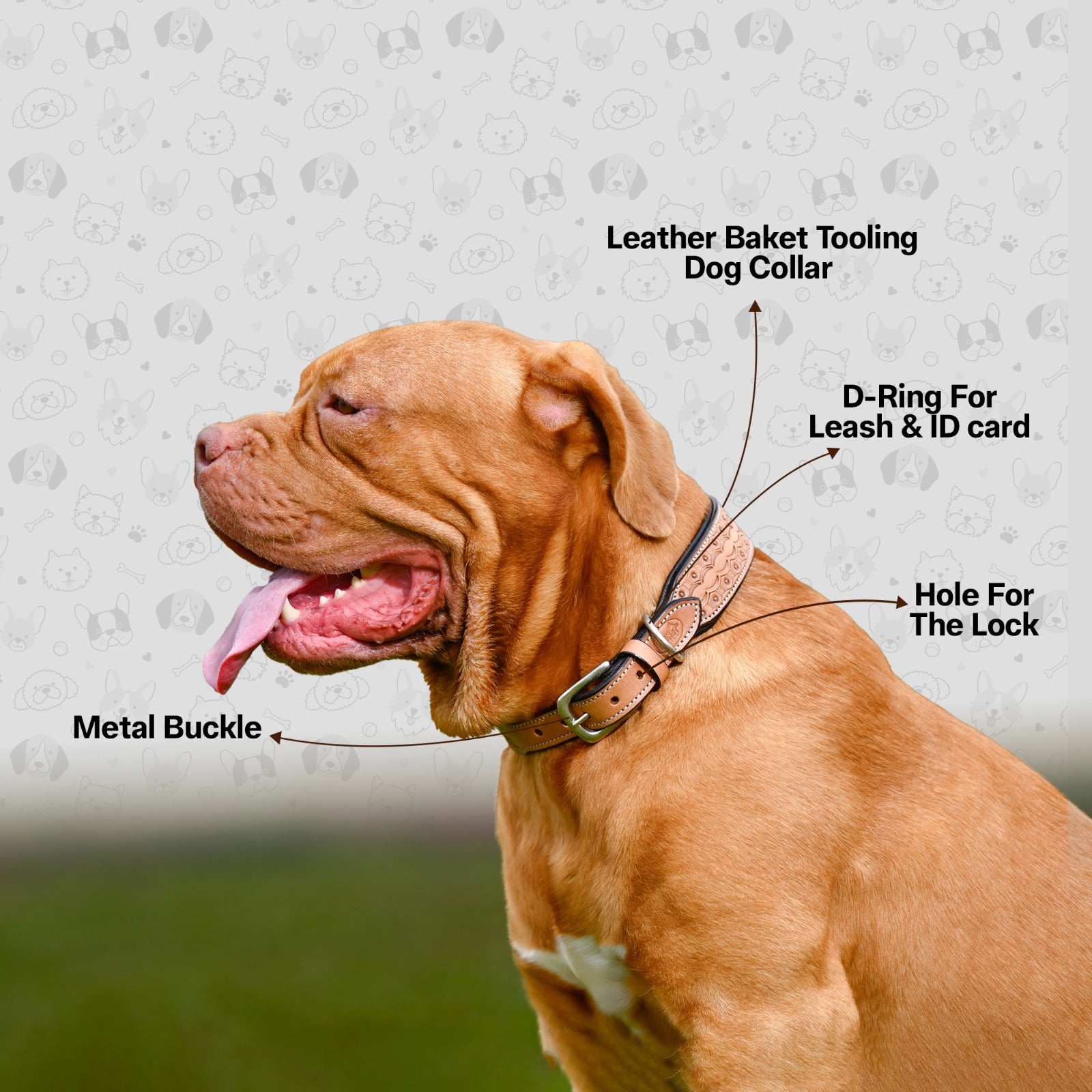 Handcrafted Leather Baket Tooling Dog Collar for All Breeds | Neck Belt with Adjustable Buckle