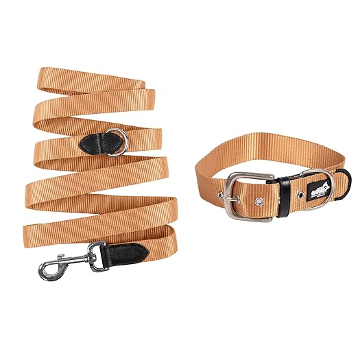 Adil’s Nylon Dog Collar & Leash Combo Set 1.5 Inch Wide Adjustable Collar with Strong Metal Buckle & D-Ring, 5 Ft Durable Leash with 360° Swivel Hook Pets