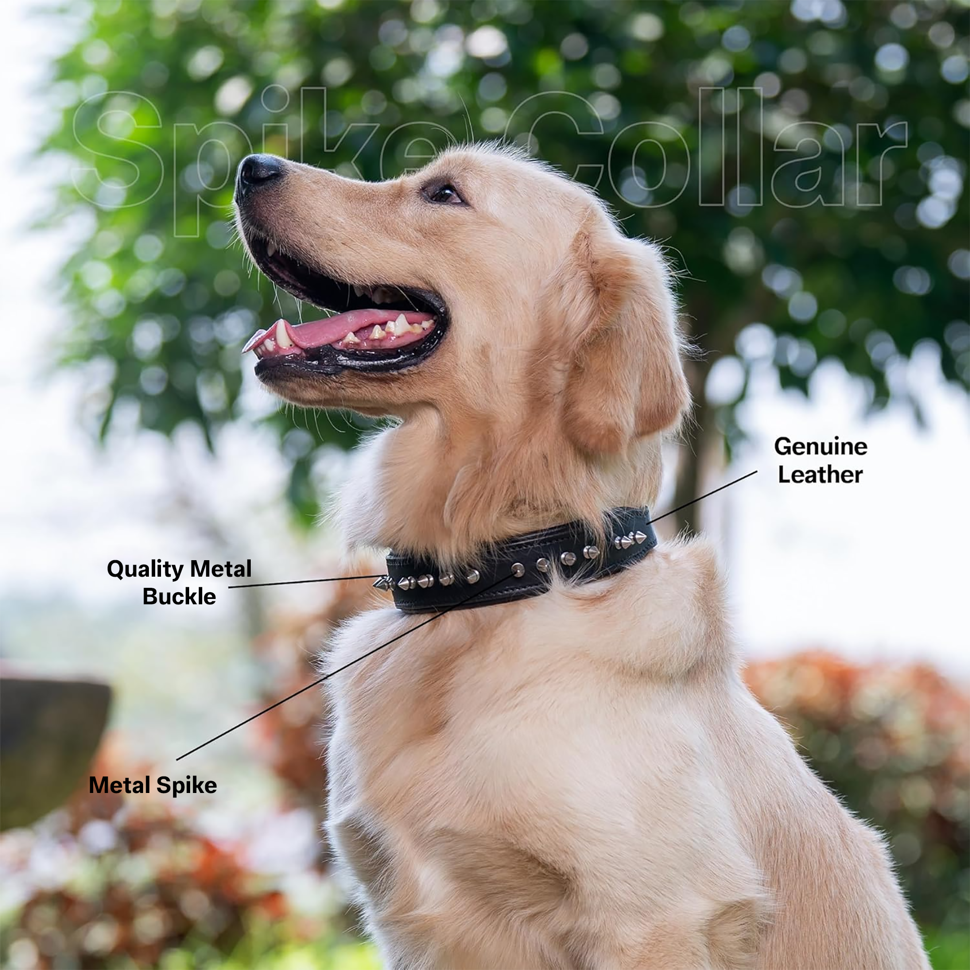 Adil’s Leather Dog Collar 32mm with Spike, Adjustable Metal Buckle Studded Collars for Small, Medium, & Large Dog with D Ring, Width (1”,1.5”,1.25”) Size (14 to 28 in)