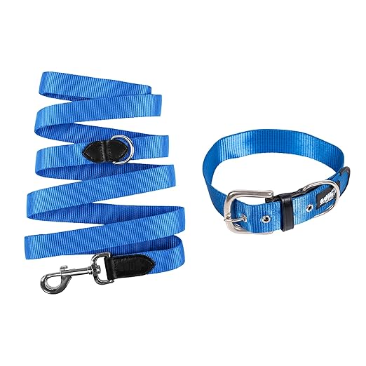 Adil’s Nylon Dog Collar & Leash Combo Set 1.5 Inch Wide Adjustable Collar with Strong Metal Buckle & D-Ring, 5 Ft Durable Leash with 360° Swivel Hook Pets