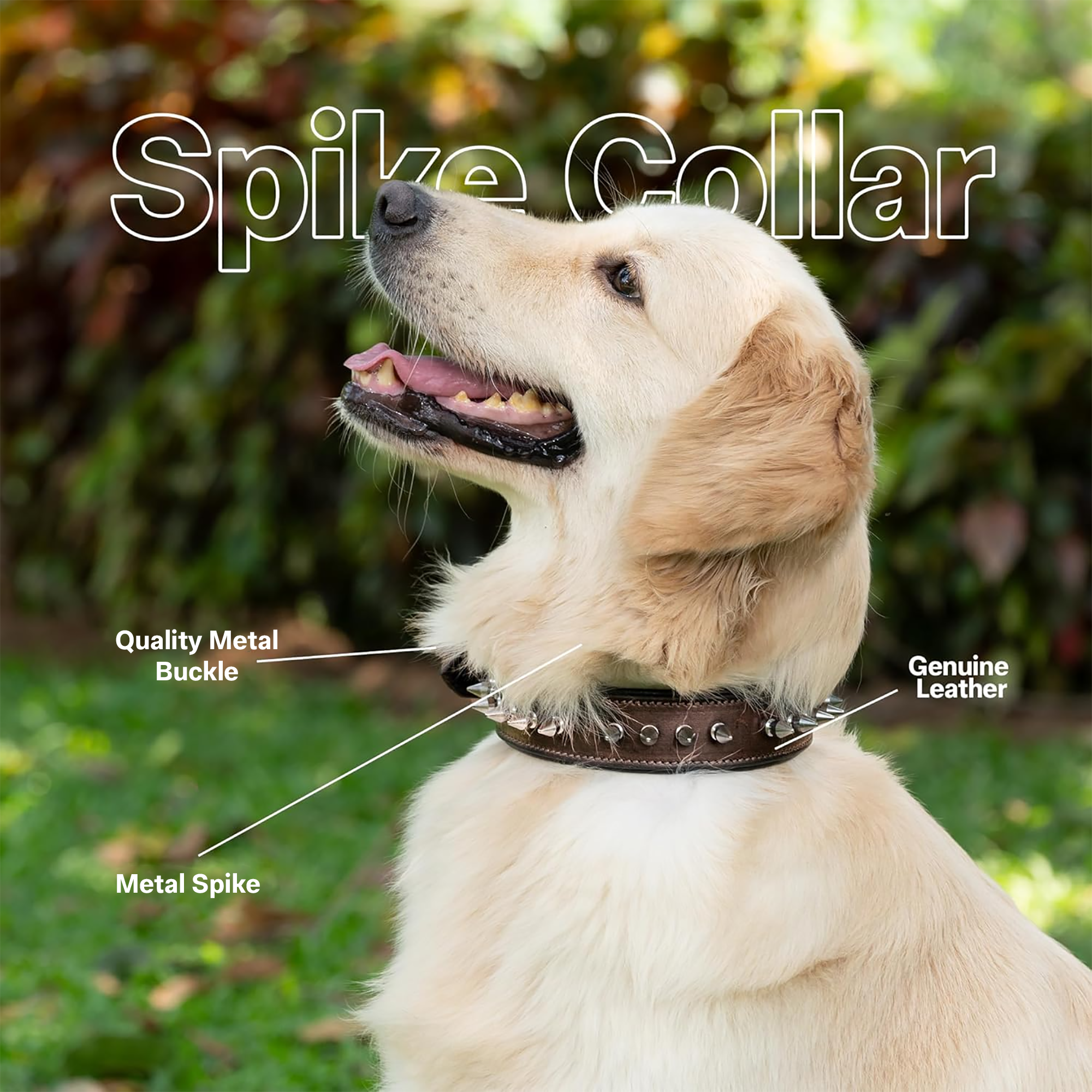 Adil’s Leather Dog Collar 32mm with Spike, Adjustable Metal Buckle Studded Collars for Small, Medium, & Large Dog with D Ring, Width (1”,1.5”,1.25”) Size (14 to 28 in)