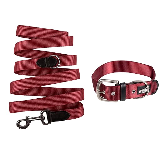 Adil’s Nylon Dog Collar & Leash Combo Set 1.5 Inch Wide Adjustable Collar with Strong Metal Buckle & D-Ring, 5 Ft Durable Leash with 360° Swivel Hook Pets