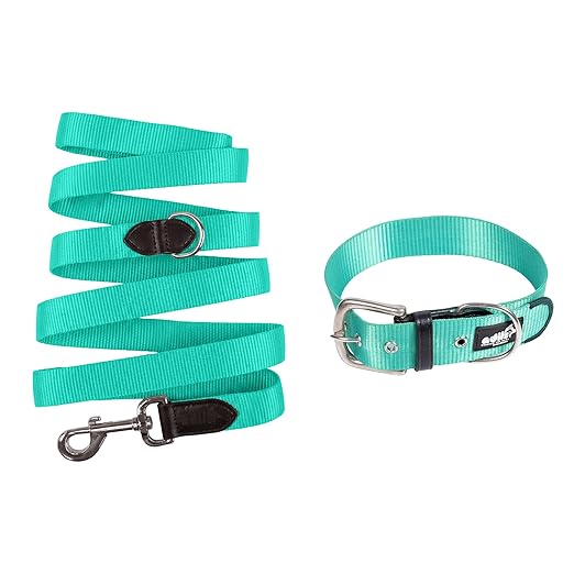 Adil’s Nylon Dog Collar & Leash Combo Set 1.5 Inch Wide Adjustable Collar with Strong Metal Buckle & D-Ring, 5 Ft Durable Leash with 360° Swivel Hook Pets