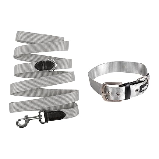 Adil’s Nylon Dog Collar & Leash Combo Set 1.5 Inch Wide Adjustable Collar with Strong Metal Buckle & D-Ring, 5 Ft Durable Leash with 360° Swivel Hook Pets