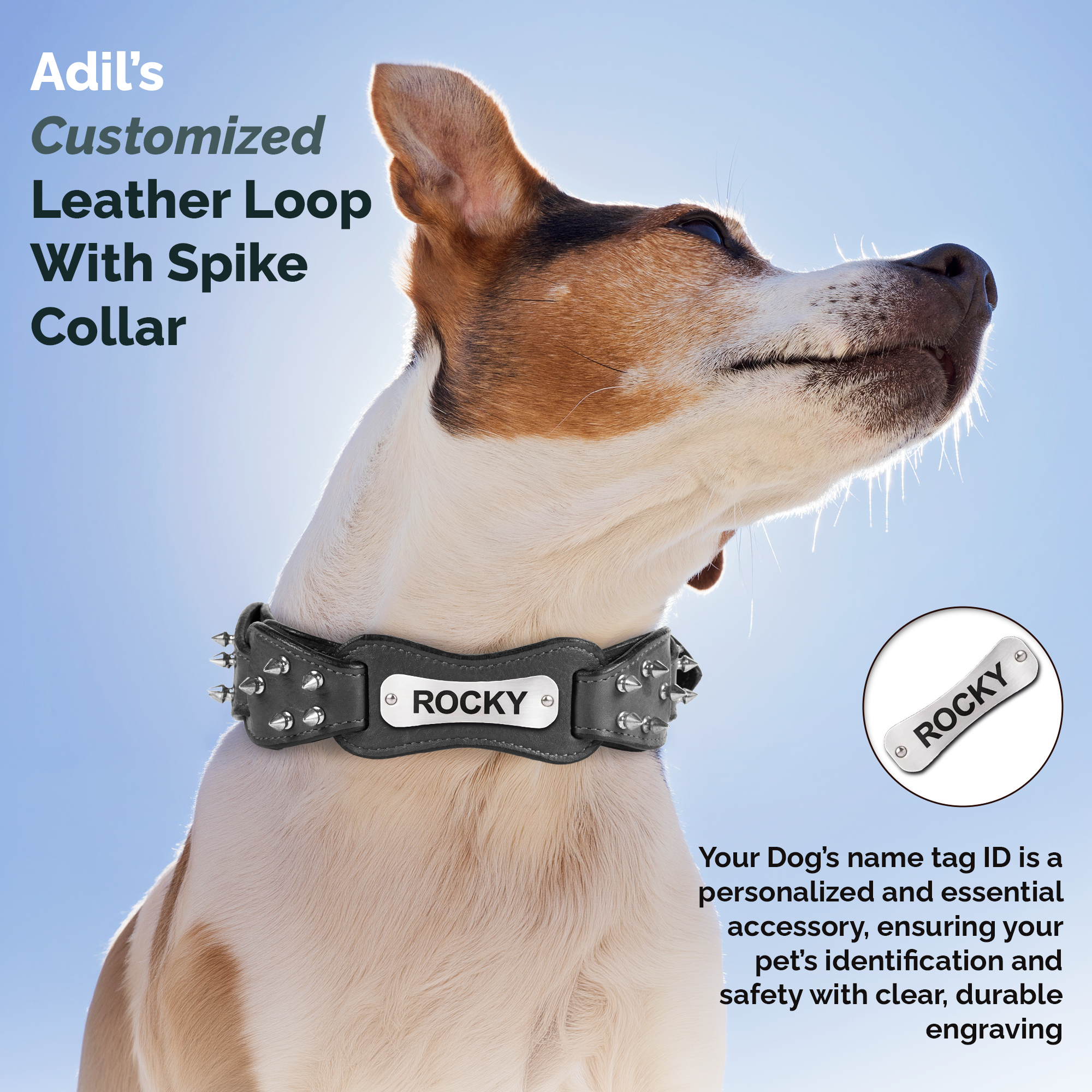Adil's Personalized Softy Premium Leather Spiked Dog Collar – 1.5 Inch Wide Loop Design Heavy Duty Soft Padded Neckbelt, Sturdy Stainless Steel Buckle & D-Ring for Small, Medium & Large Pets