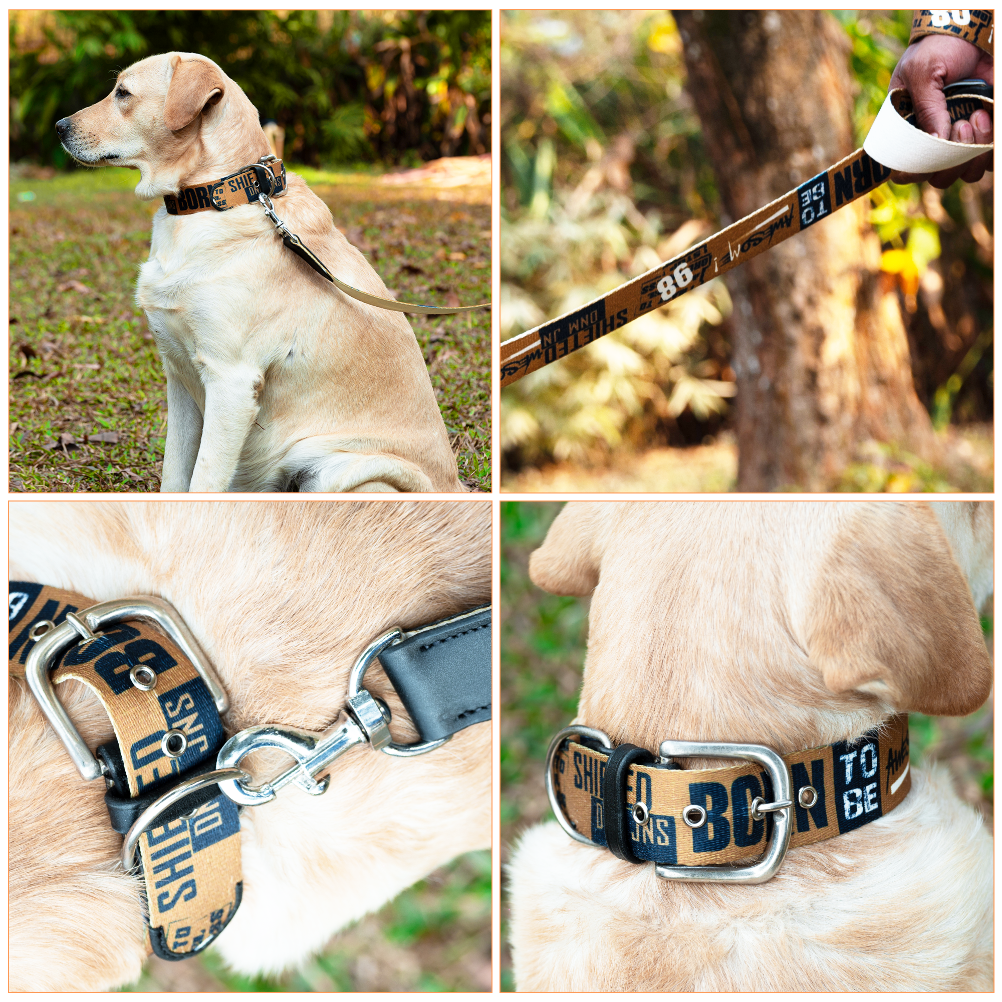 Adil’s Cotton Printed Dog Collar & Leash Combo Set – 1.5" Wide Adjustable Graffiti Collar Metal Buckle D-Ring, 5ft Cotton Leash 360° Swivel Hook Loop Handle for Small Medium Large Pets