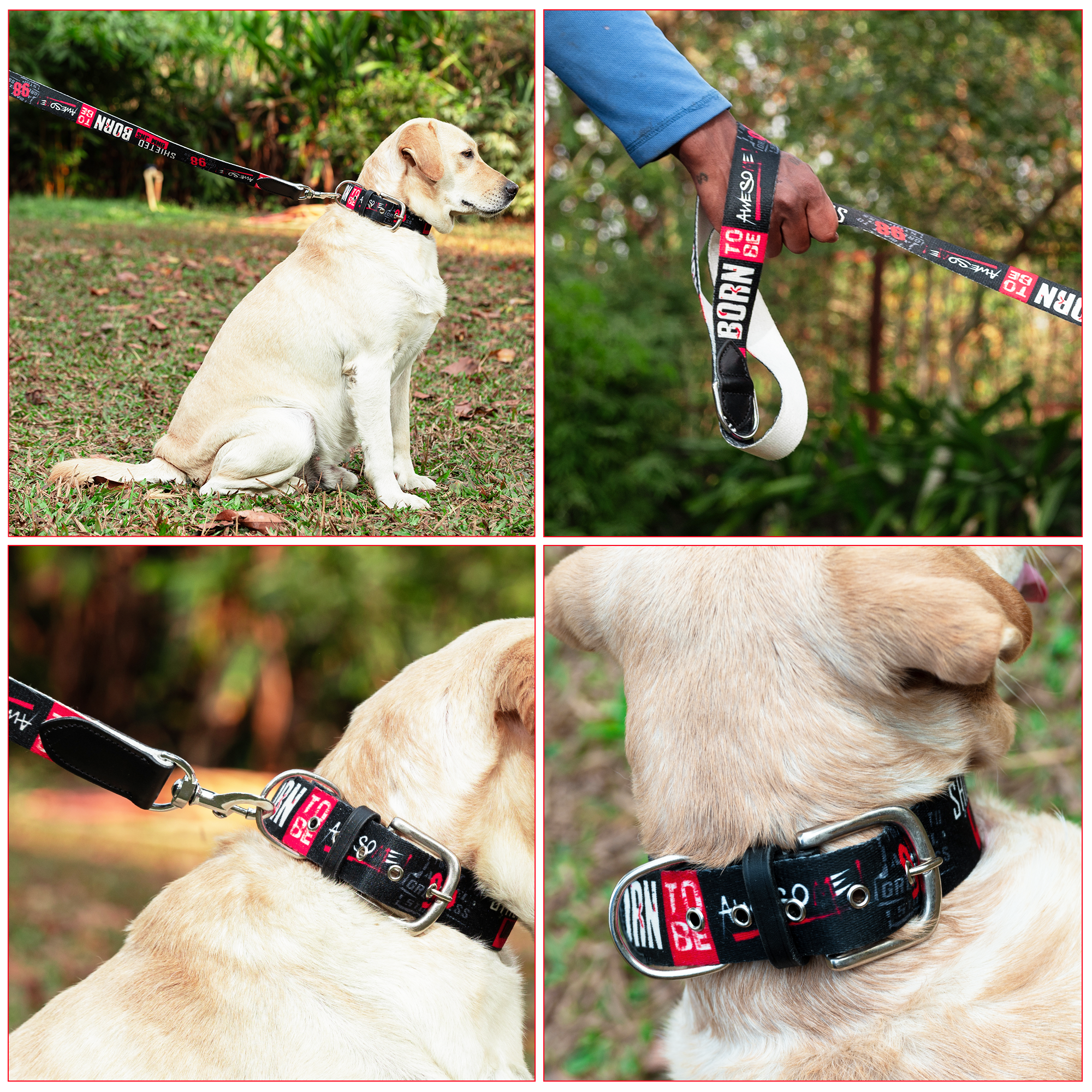 Adil’s Cotton Printed Dog Collar & Leash Combo Set – 1.5" Wide Adjustable Graffiti Collar Metal Buckle D-Ring, 5ft Cotton Leash 360° Swivel Hook Loop Handle for Small Medium Large Pets