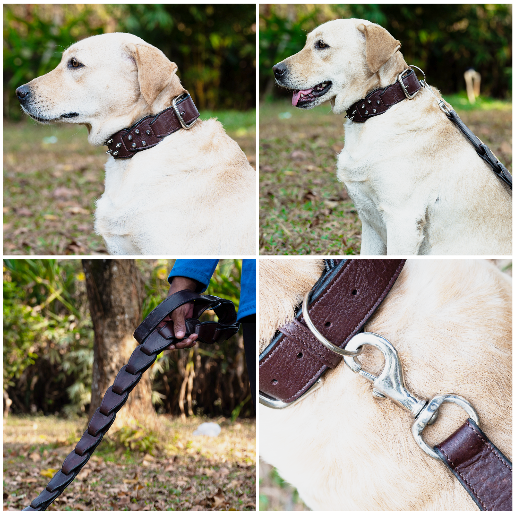 Adil’s Personalized Leather Loop Spike Dog Collar & Leash Combo Set 1.5" Wide Adjustable Neckbelt Metal Buckle D-Ring 5Ft Leather Heavy Duty Loop Cord with 360 Swivel Hook for Training Walking