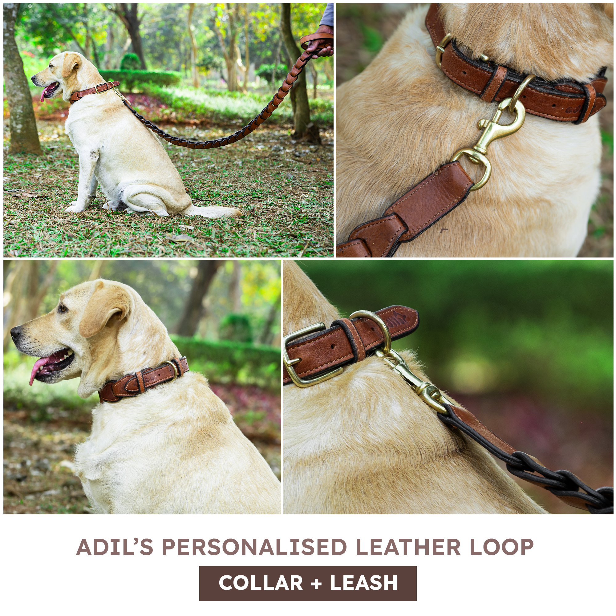 Adil's Genuine Leather Customise Dog Collar Leash Combo Set | Scallop Loop Design | Metal Buckle D-Ring | 360° Swivel Hook | 1 Inch Collar 5Ft Leash Pets | Walking Training