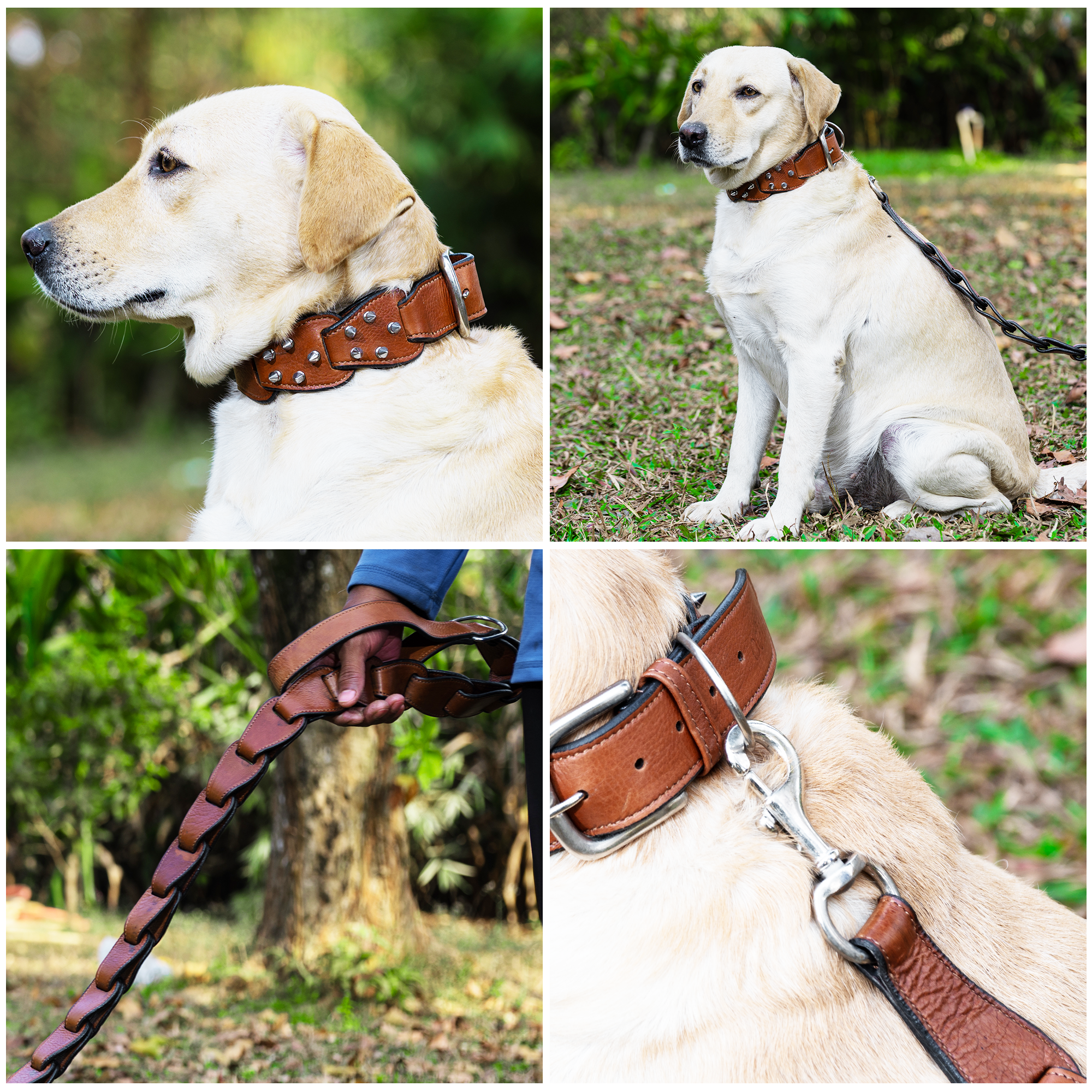Adil’s Personalized Leather Loop Spike Dog Collar & Leash Combo Set 1.5" Wide Adjustable Neckbelt Metal Buckle D-Ring 5Ft Leather Heavy Duty Loop Cord with 360 Swivel Hook for Training Walking