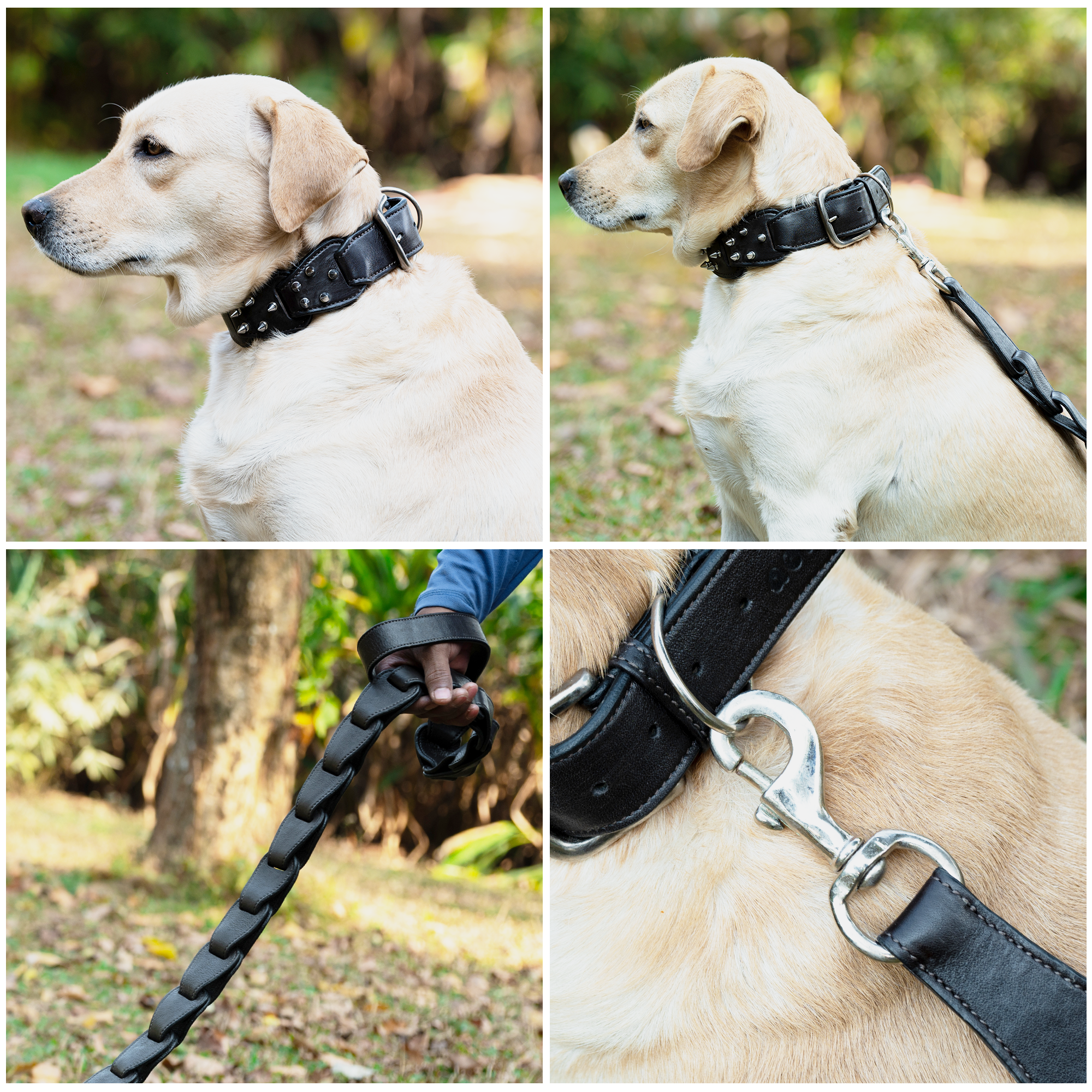 Adil’s Personalized Leather Loop Spike Dog Collar & Leash Combo Set 1.5" Wide Adjustable Neckbelt Metal Buckle D-Ring 5Ft Leather Heavy Duty Loop Cord with 360 Swivel Hook for Training Walking