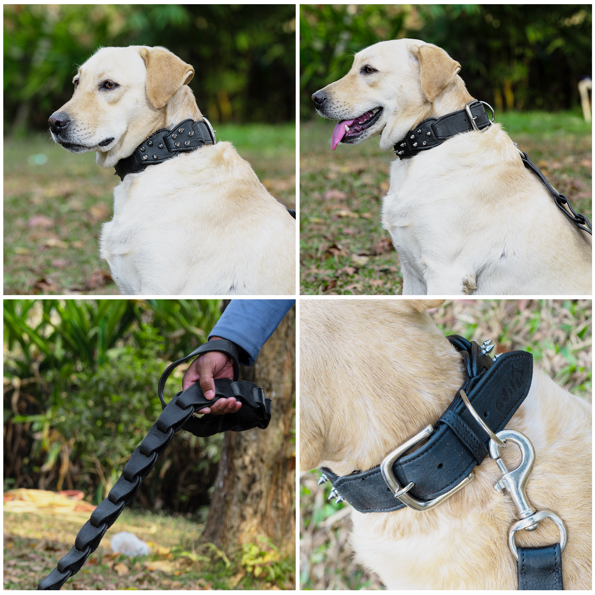 Adil’s Personalized Leather Loop Spike Dog Collar & Leash Combo Set 1.5" Wide Adjustable Neckbelt Metal Buckle D-Ring 5Ft Leather Heavy Duty Loop Cord with 360 Swivel Hook for Training Walking