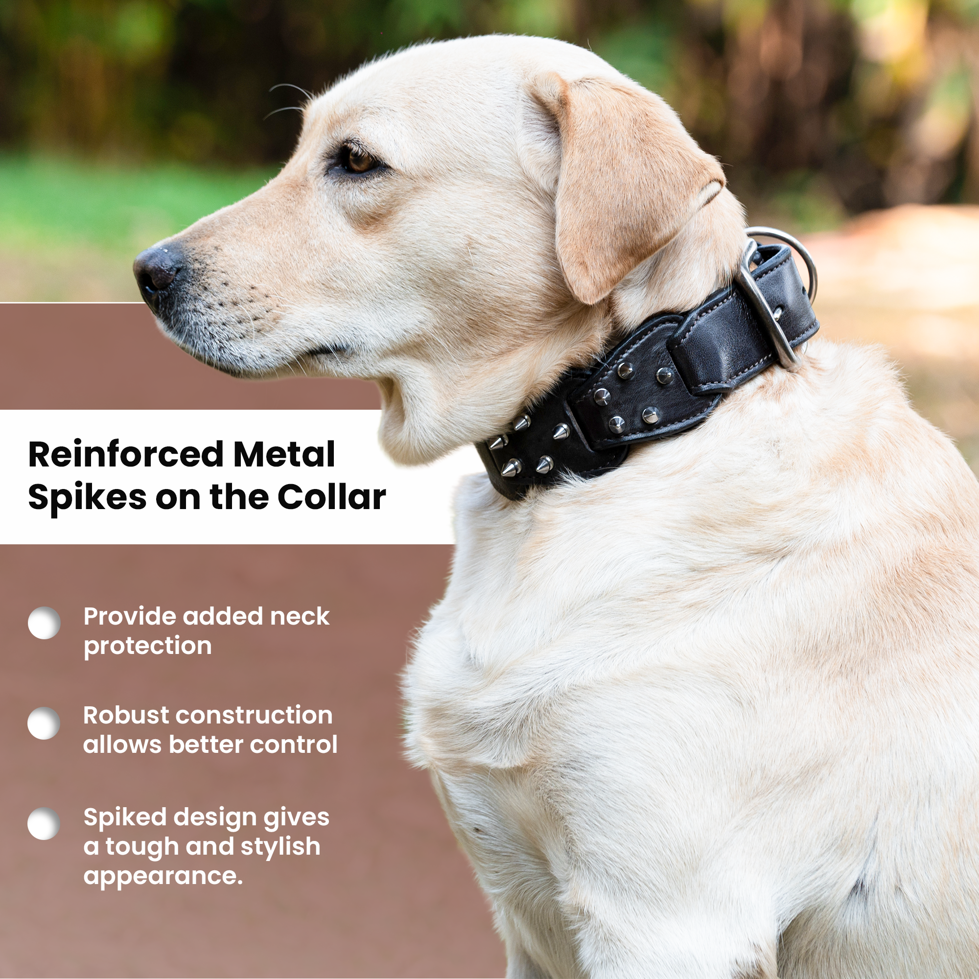 Adil’s Personalized Leather Loop Spike Dog Collar & Leash Combo Set 1.5" Wide Adjustable Neckbelt Metal Buckle D-Ring 5Ft Leather Heavy Duty Loop Cord with 360 Swivel Hook for Training Walking