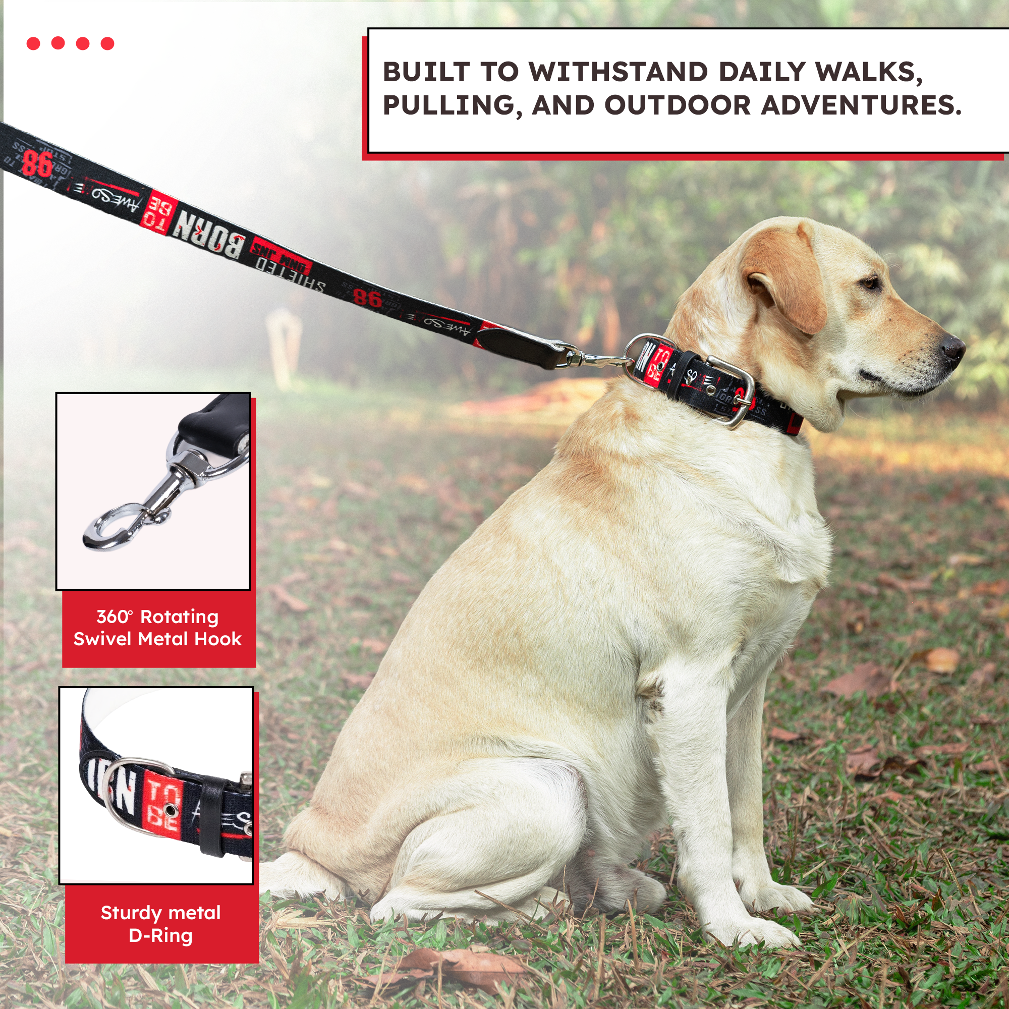 Adil’s Cotton Printed Dog Collar & Leash Combo Set – 1.5" Wide Adjustable Graffiti Collar Metal Buckle D-Ring, 5ft Cotton Leash 360° Swivel Hook Loop Handle for Small Medium Large Pets