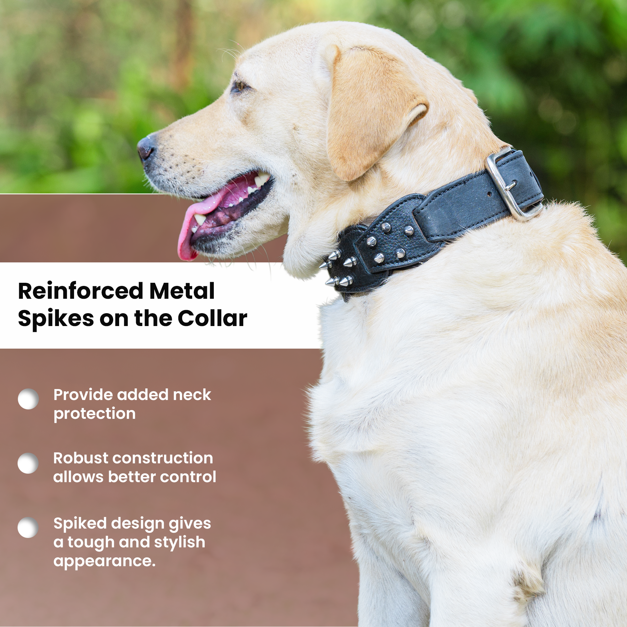 Adil’s Personalized Leather Loop Spike Dog Collar & Leash Combo Set 1.5" Wide Adjustable Neckbelt Metal Buckle D-Ring 5Ft Leather Heavy Duty Loop Cord with 360 Swivel Hook for Training Walking
