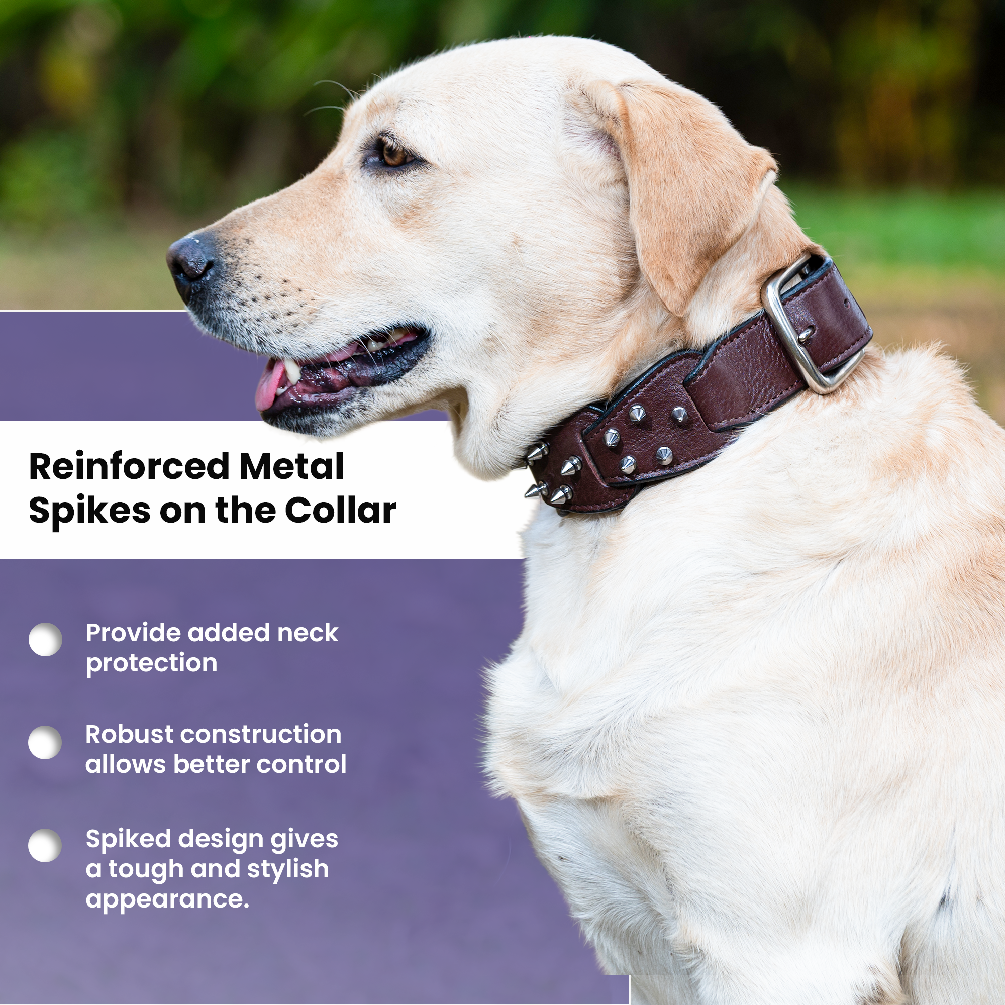 Adil’s Personalized Leather Loop Spike Dog Collar & Leash Combo Set 1.5" Wide Adjustable Neckbelt Metal Buckle D-Ring 5Ft Leather Heavy Duty Loop Cord with 360 Swivel Hook for Training Walking