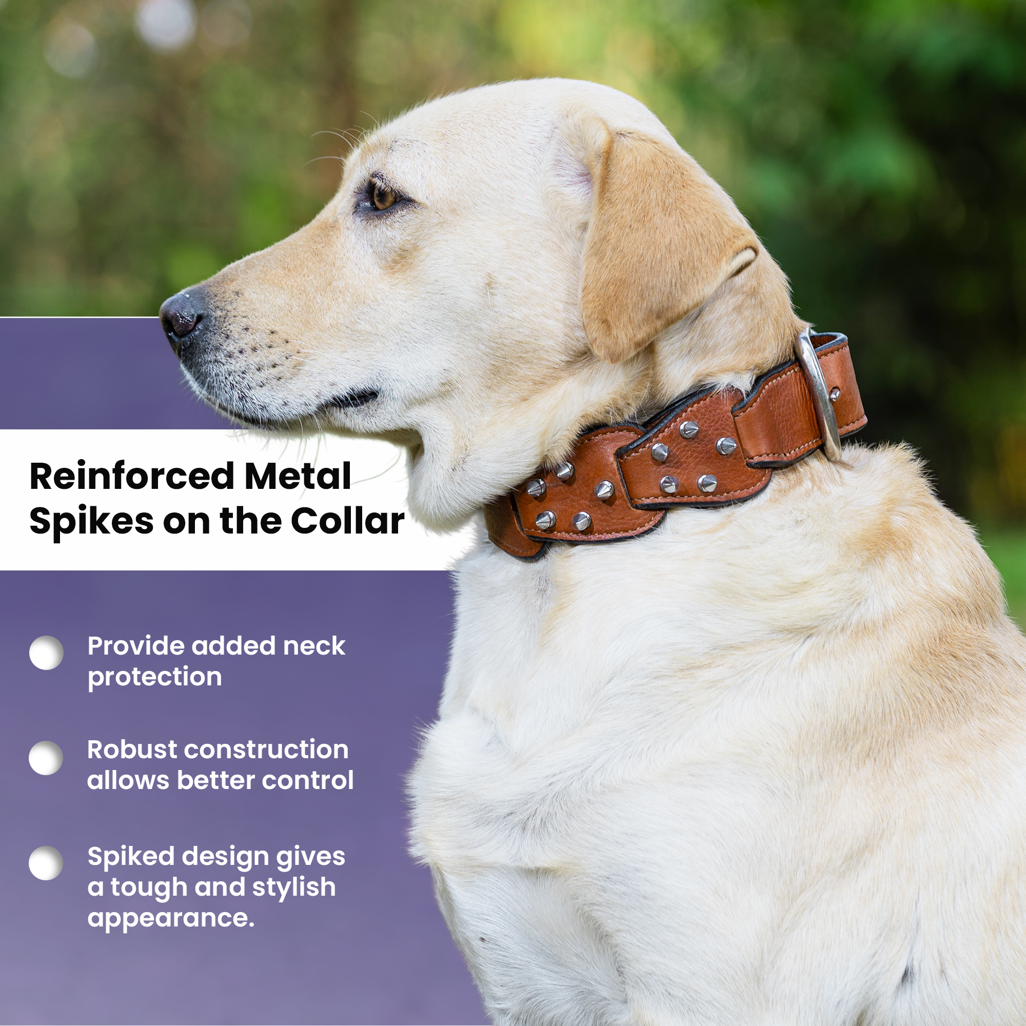 Adil’s Personalized Leather Loop Spike Dog Collar & Leash Combo Set 1.5" Wide Adjustable Neckbelt Metal Buckle D-Ring 5Ft Leather Heavy Duty Loop Cord with 360 Swivel Hook for Training Walking