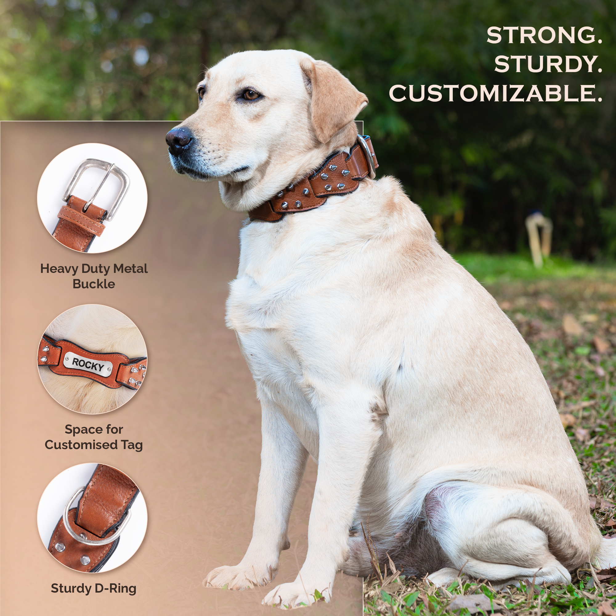 Adil's Personalized Softy Premium Leather Spiked Dog Collar – 1.5 Inch Wide Loop Design Heavy Duty Soft Padded Neckbelt, Sturdy Stainless Steel Buckle & D-Ring for Small, Medium & Large Pets