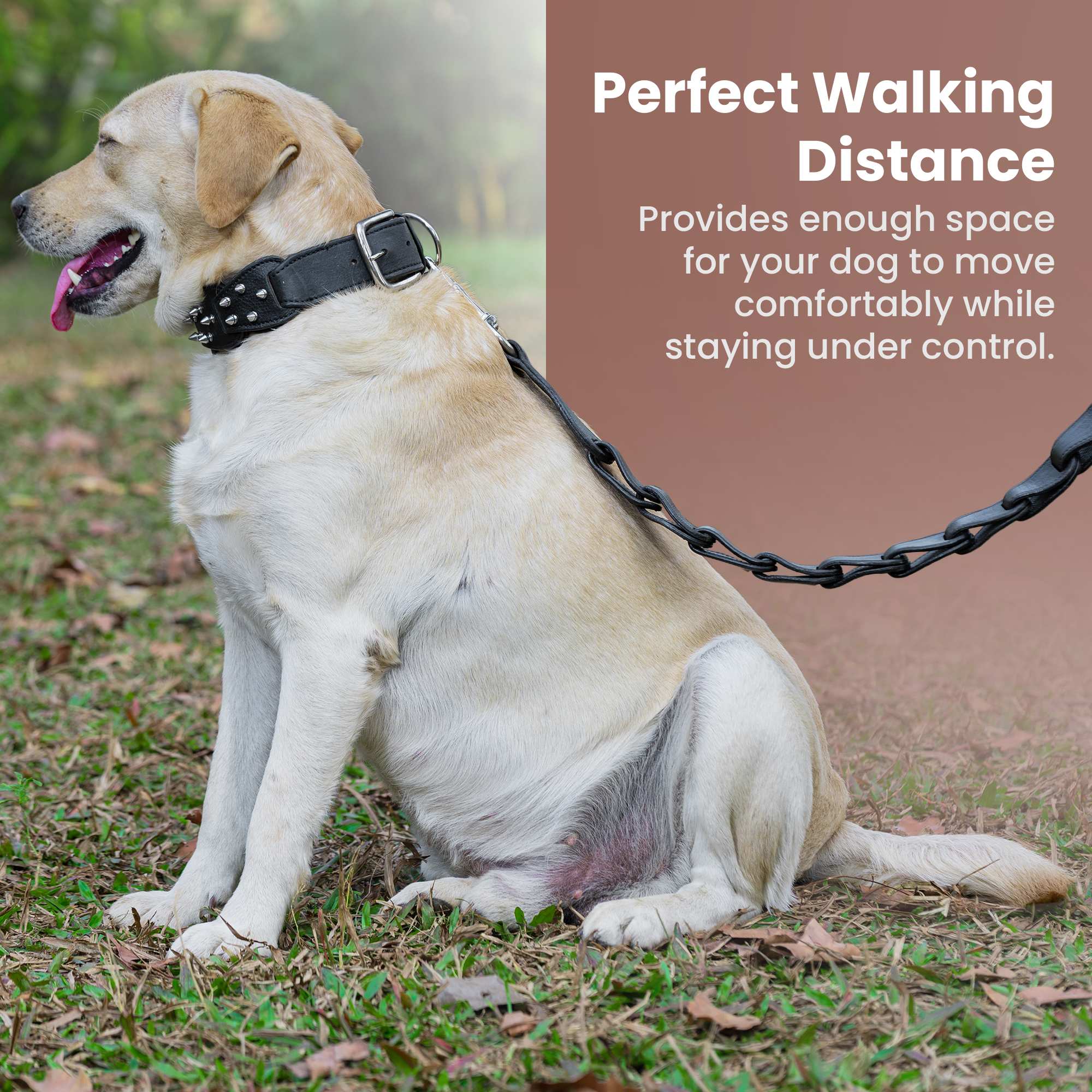 Adil’s Personalized Leather Loop Spike Dog Collar & Leash Combo Set 1.5" Wide Adjustable Neckbelt Metal Buckle D-Ring 5Ft Leather Heavy Duty Loop Cord with 360 Swivel Hook for Training Walking