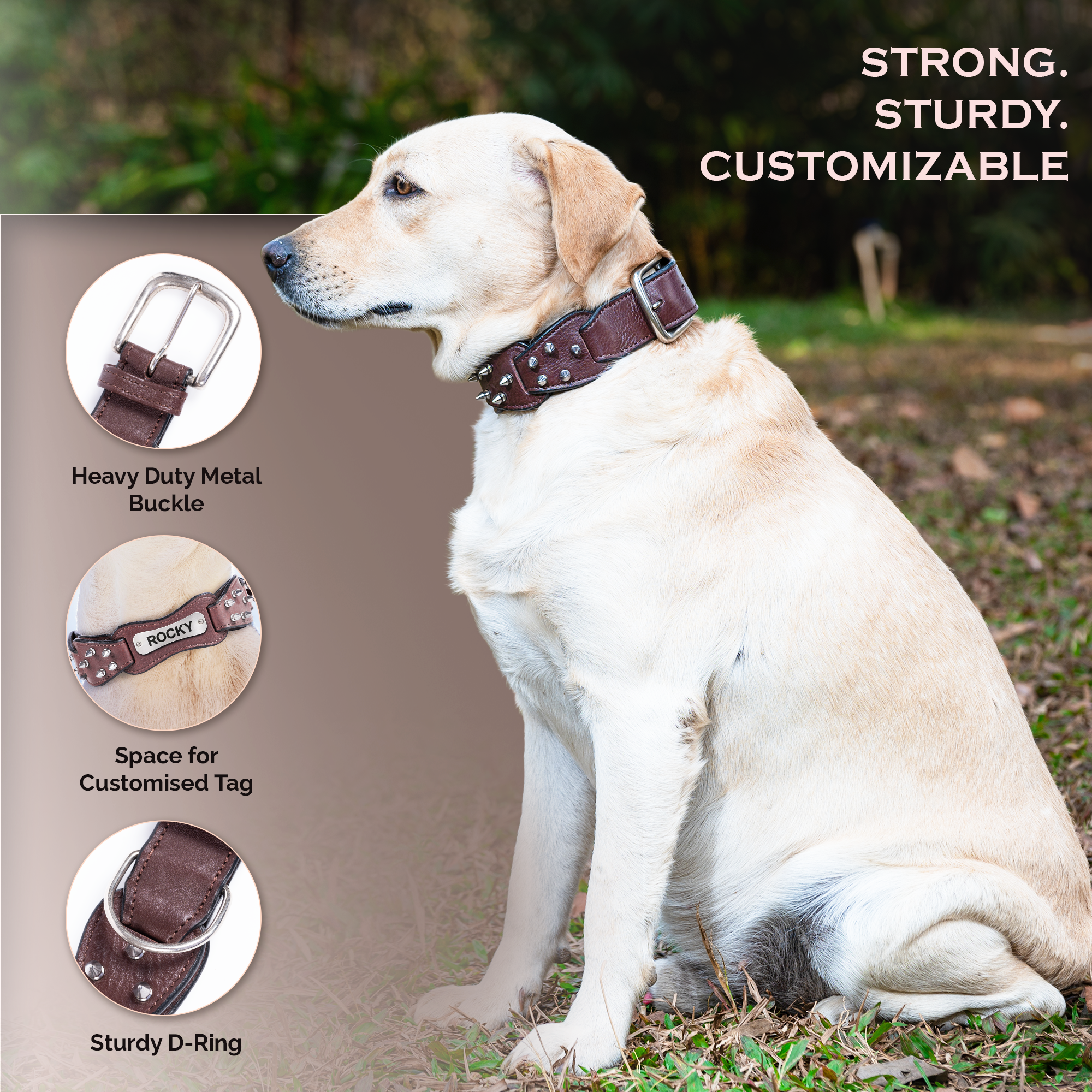 Adil's Personalized Softy Premium Leather Spiked Dog Collar – 1.5 Inch Wide Loop Design Heavy Duty Soft Padded Neckbelt, Sturdy Stainless Steel Buckle & D-Ring for Small, Medium & Large Pets