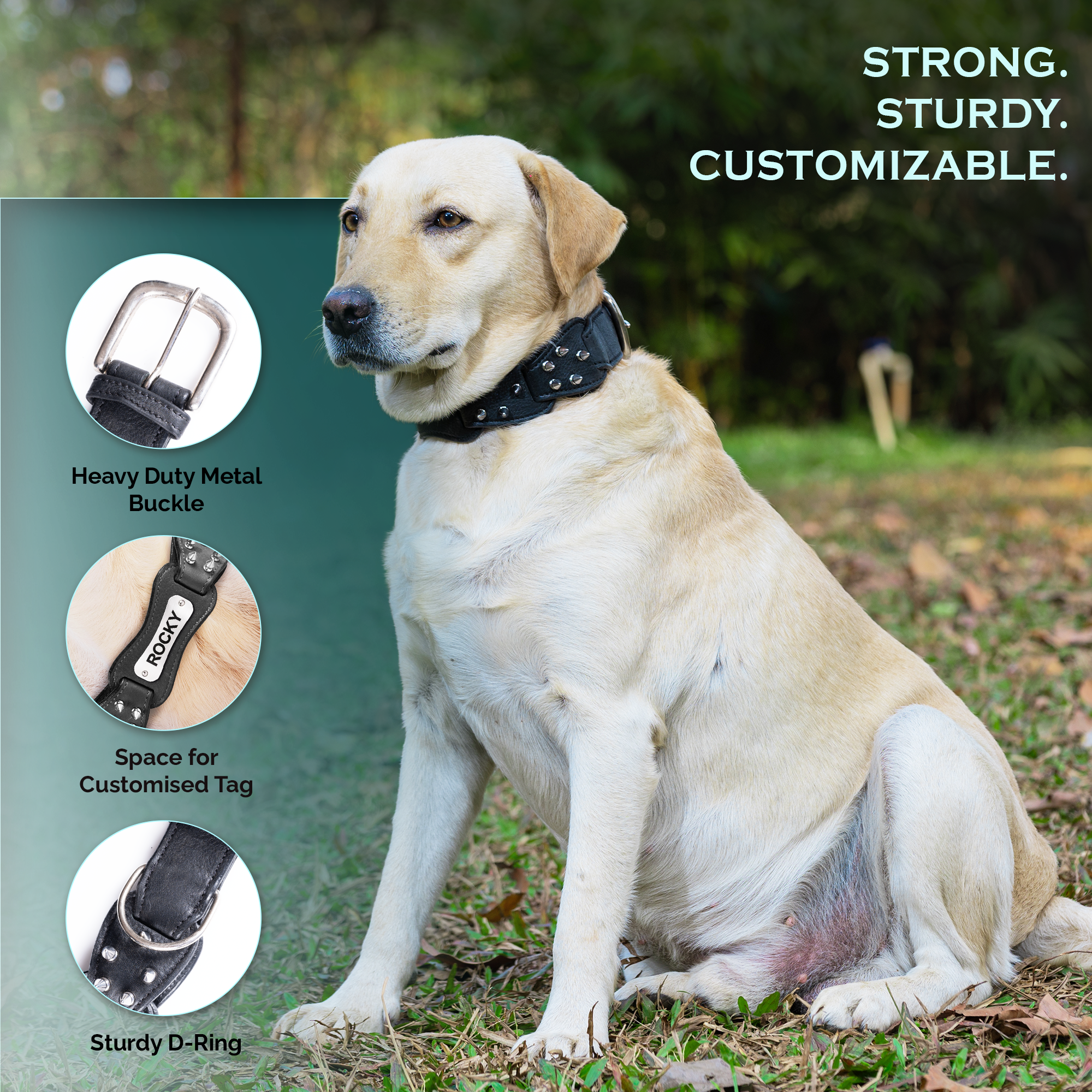 Adil's Personalized Softy Premium Leather Spiked Dog Collar – 1.5 Inch Wide Loop Design Heavy Duty Soft Padded Neckbelt, Sturdy Stainless Steel Buckle & D-Ring for Small, Medium & Large Pets