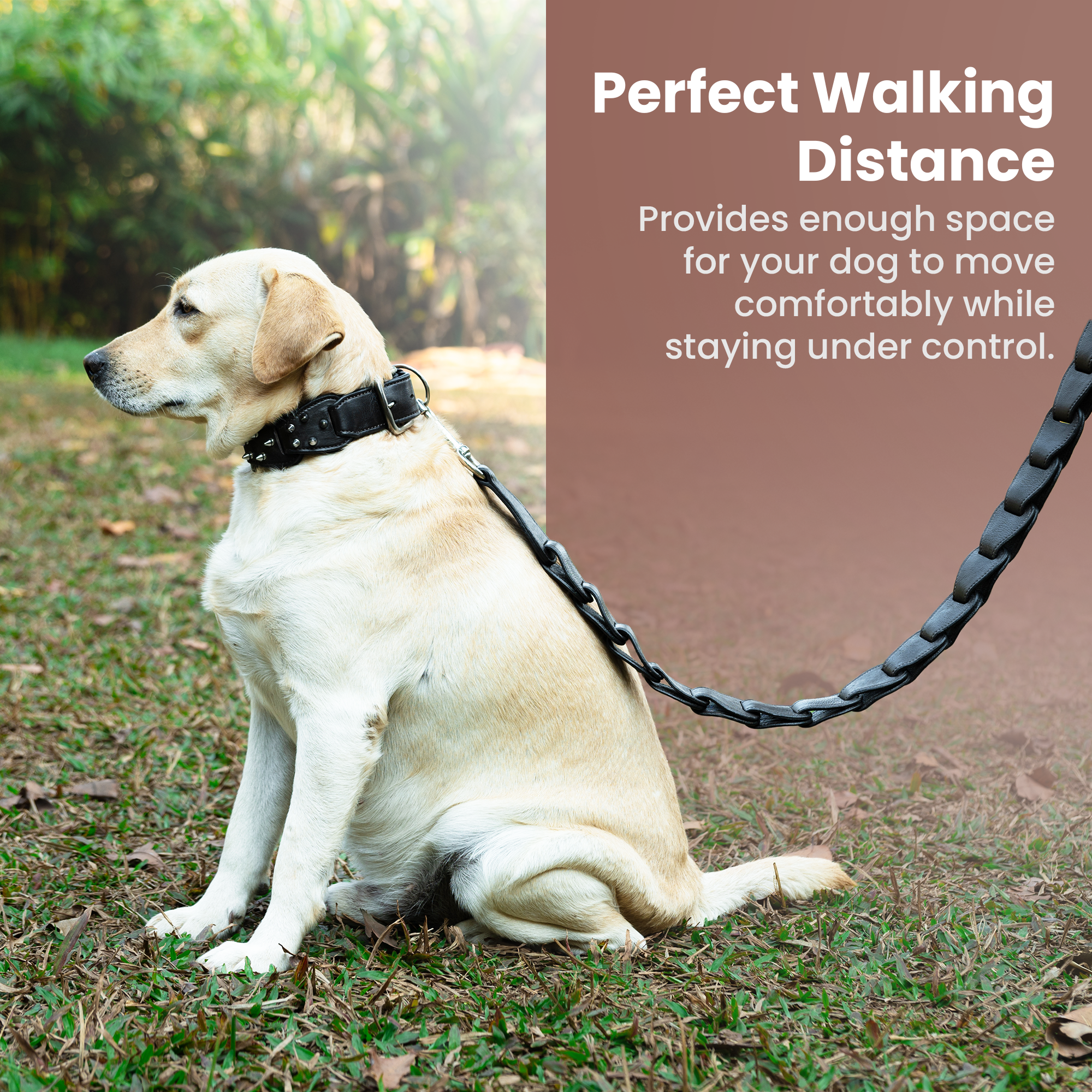 Adil’s Personalized Leather Loop Spike Dog Collar & Leash Combo Set 1.5" Wide Adjustable Neckbelt Metal Buckle D-Ring 5Ft Leather Heavy Duty Loop Cord with 360 Swivel Hook for Training Walking