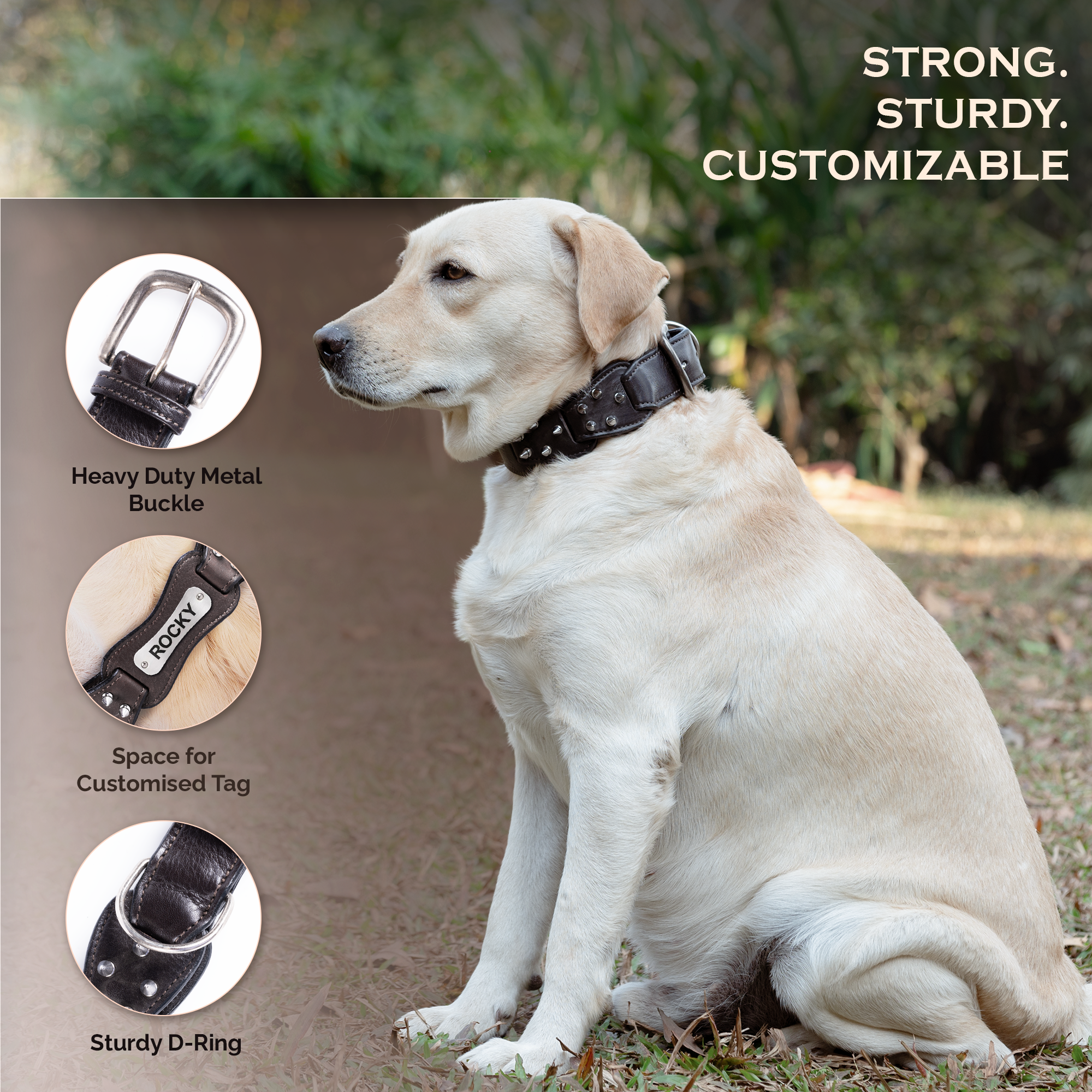Adil's Personalized Softy Premium Leather Spiked Dog Collar – 1.5 Inch Wide Loop Design Heavy Duty Soft Padded Neckbelt, Sturdy Stainless Steel Buckle & D-Ring for Small, Medium & Large Pets