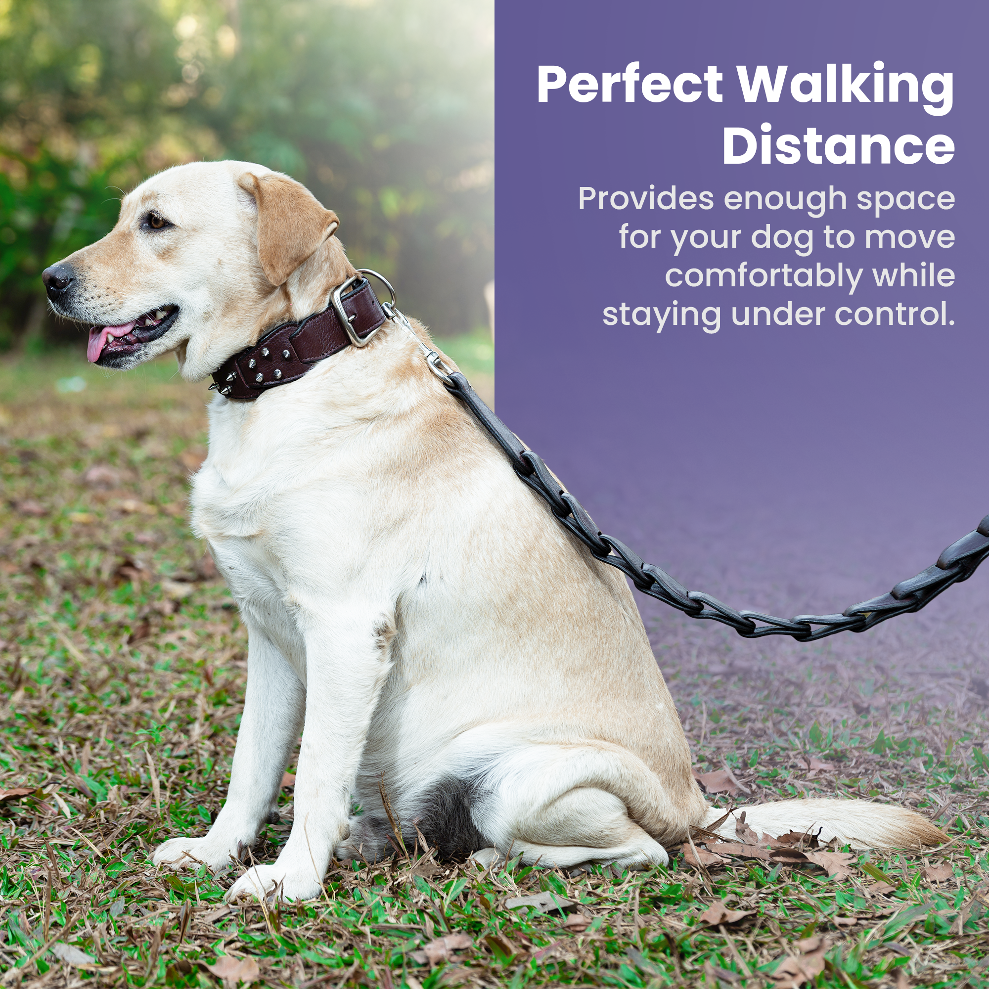 Adil’s Personalized Leather Loop Spike Dog Collar & Leash Combo Set 1.5" Wide Adjustable Neckbelt Metal Buckle D-Ring 5Ft Leather Heavy Duty Loop Cord with 360 Swivel Hook for Training Walking
