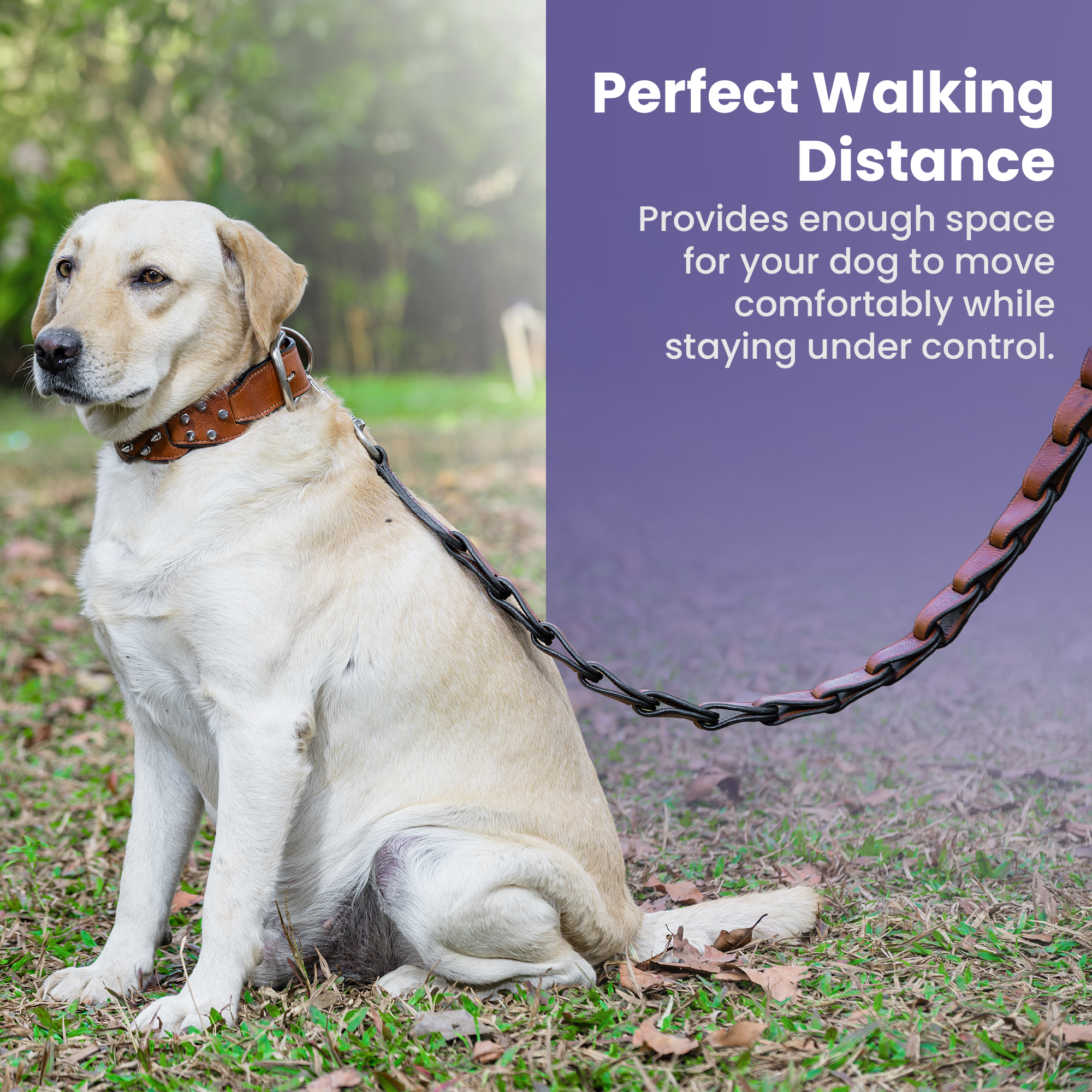 Adil’s Personalized Leather Loop Spike Dog Collar & Leash Combo Set 1.5" Wide Adjustable Neckbelt Metal Buckle D-Ring 5Ft Leather Heavy Duty Loop Cord with 360 Swivel Hook for Training Walking
