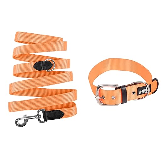 Adil’s Nylon Dog Collar & Leash Combo Set 1.5 Inch Wide Adjustable Collar with Strong Metal Buckle & D-Ring, 5 Ft Durable Leash with 360° Swivel Hook Pets