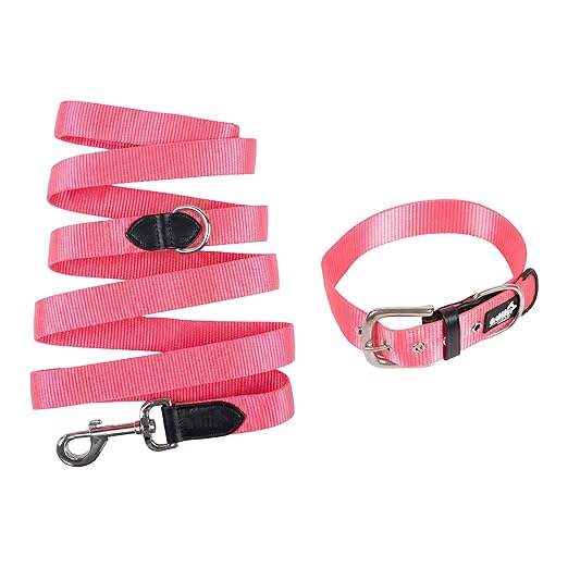 Adil’s Nylon Dog Collar & Leash Combo Set 1.5 Inch Wide Adjustable Collar with Strong Metal Buckle & D-Ring, 5 Ft Durable Leash with 360° Swivel Hook Pets