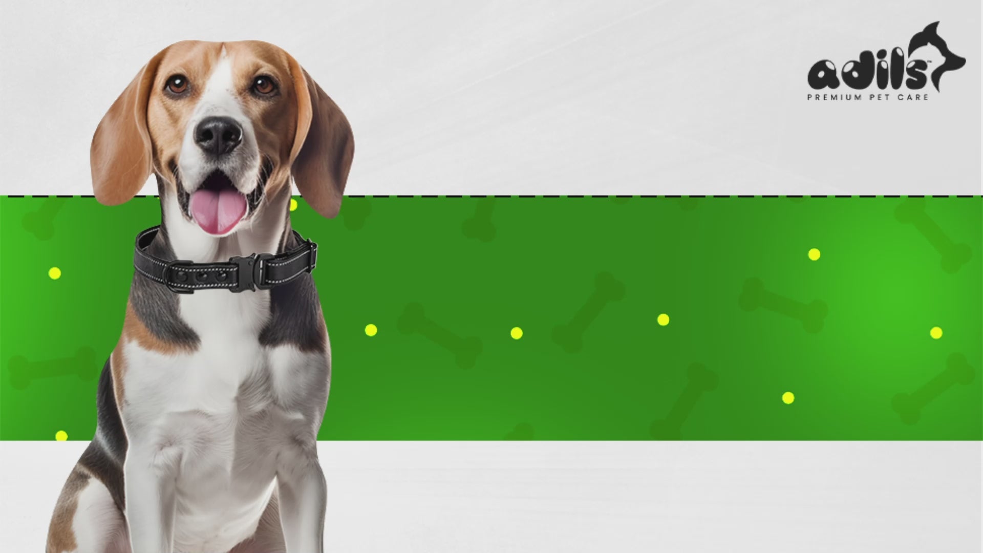 Adil’S Premium Rolled NDM Softy Leather Dog Leashes - 5 Feet Length