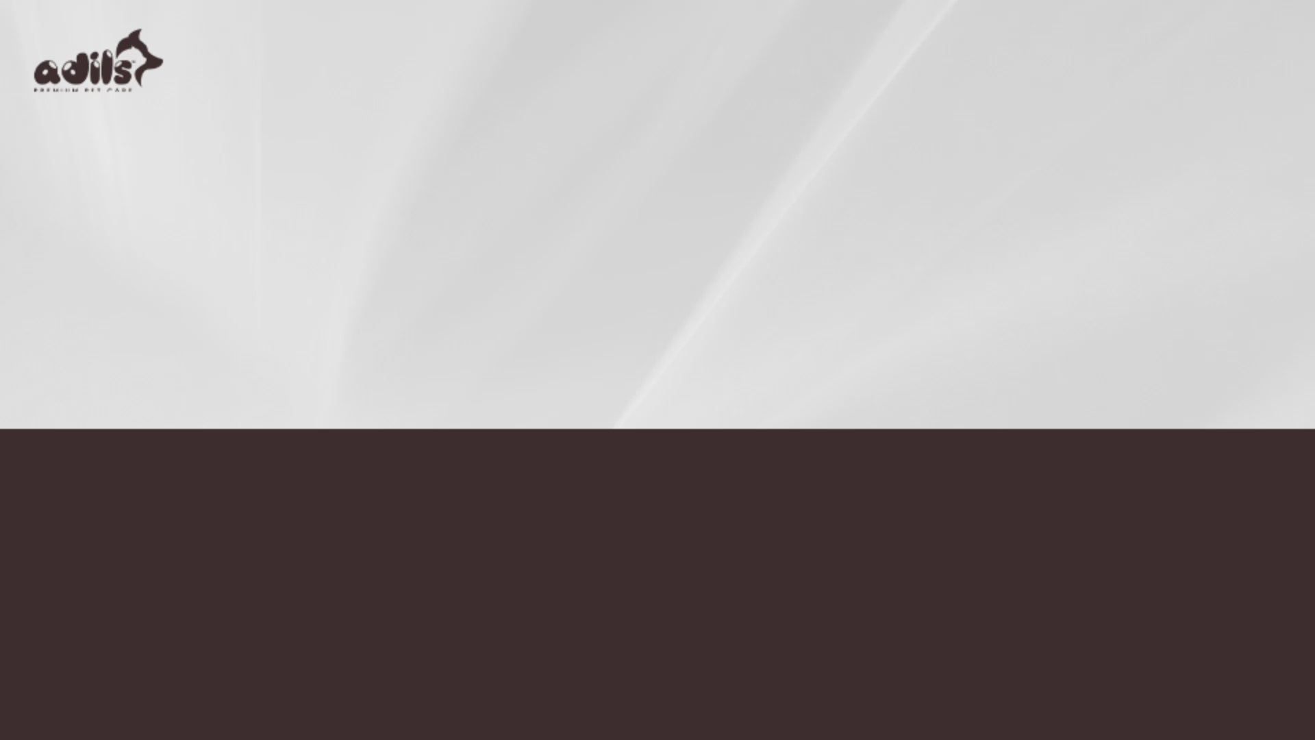 Adil’s Stainless Steel Dog and Cat Feeder - Non-Slip Base, Easy to Clean, Durable & Bite-Resistant Pet Food Bowl